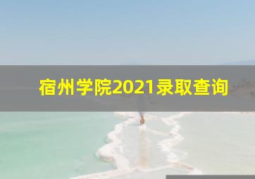 宿州学院2021录取查询