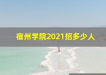 宿州学院2021招多少人