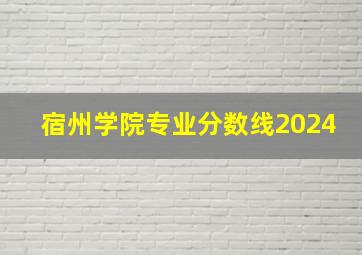 宿州学院专业分数线2024