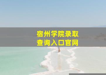 宿州学院录取查询入口官网