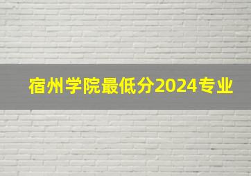 宿州学院最低分2024专业