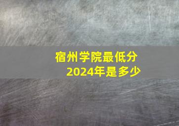 宿州学院最低分2024年是多少