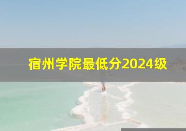 宿州学院最低分2024级