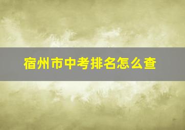 宿州市中考排名怎么查