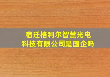 宿迁格利尔智慧光电科技有限公司是国企吗