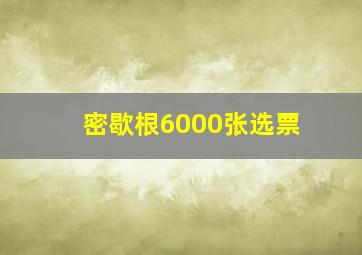 密歇根6000张选票