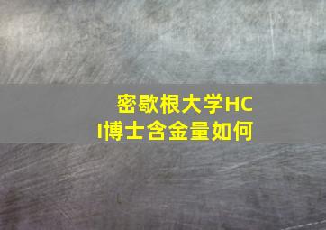 密歇根大学HCI博士含金量如何