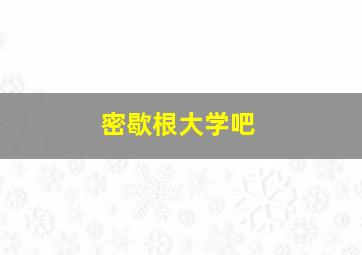 密歇根大学吧