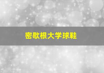 密歇根大学球鞋