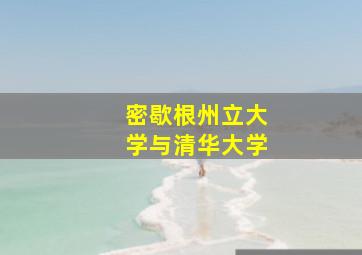 密歇根州立大学与清华大学