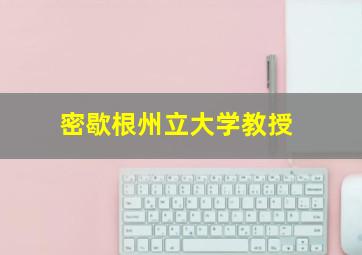 密歇根州立大学教授