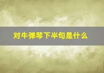 对牛弹琴下半句是什么