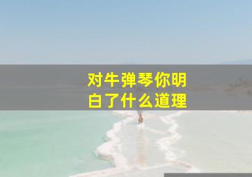 对牛弹琴你明白了什么道理