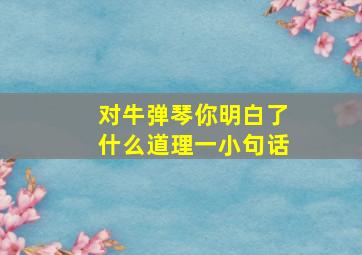 对牛弹琴你明白了什么道理一小句话