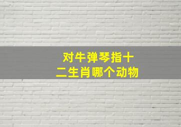 对牛弹琴指十二生肖哪个动物