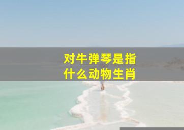 对牛弹琴是指什么动物生肖