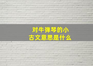 对牛弹琴的小古文意思是什么