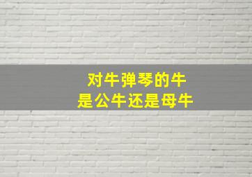 对牛弹琴的牛是公牛还是母牛