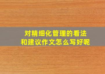 对精细化管理的看法和建议作文怎么写好呢