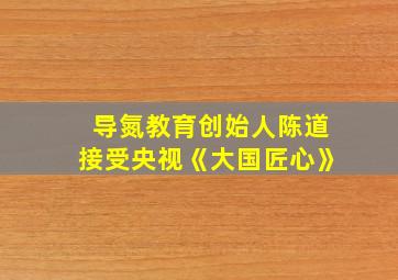 导氮教育创始人陈道接受央视《大国匠心》