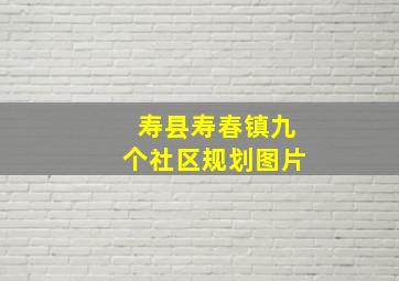 寿县寿春镇九个社区规划图片