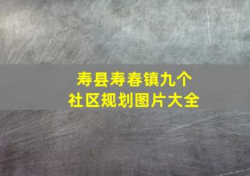 寿县寿春镇九个社区规划图片大全