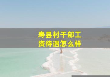 寿县村干部工资待遇怎么样