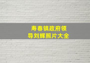 寿春镇政府领导刘辉照片大全