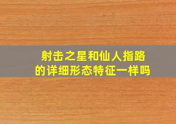 射击之星和仙人指路的详细形态特征一样吗