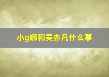 小g娜和吴亦凡什么事