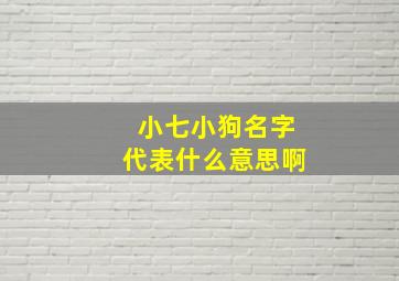 小七小狗名字代表什么意思啊