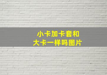 小卡加卡套和大卡一样吗图片