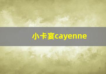 小卡宴cayenne