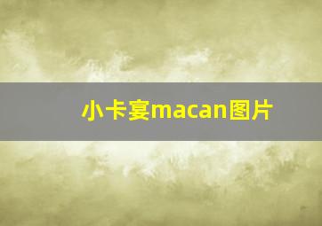 小卡宴macan图片