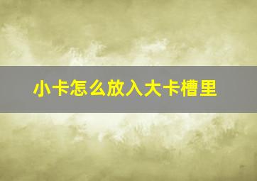 小卡怎么放入大卡槽里