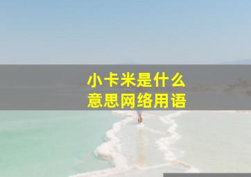 小卡米是什么意思网络用语