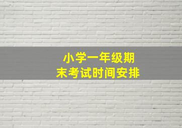 小学一年级期末考试时间安排