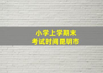 小学上学期末考试时间昆明市