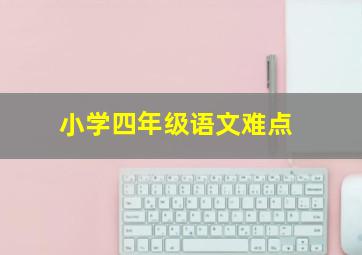 小学四年级语文难点