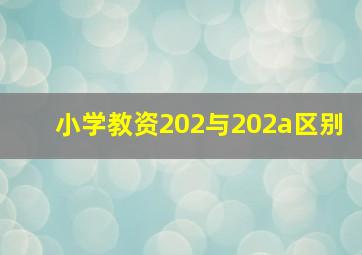 小学教资202与202a区别