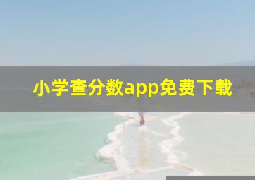 小学查分数app免费下载