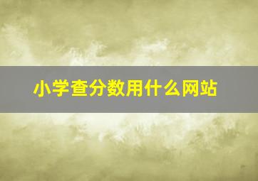 小学查分数用什么网站