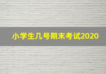 小学生几号期末考试2020