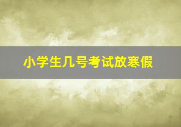 小学生几号考试放寒假