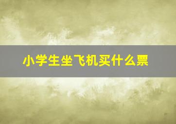 小学生坐飞机买什么票