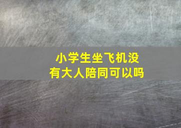 小学生坐飞机没有大人陪同可以吗