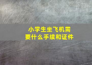 小学生坐飞机需要什么手续和证件