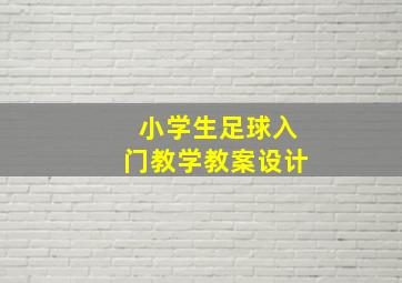 小学生足球入门教学教案设计