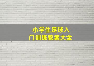 小学生足球入门训练教案大全