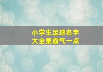 小学生足球名字大全集霸气一点